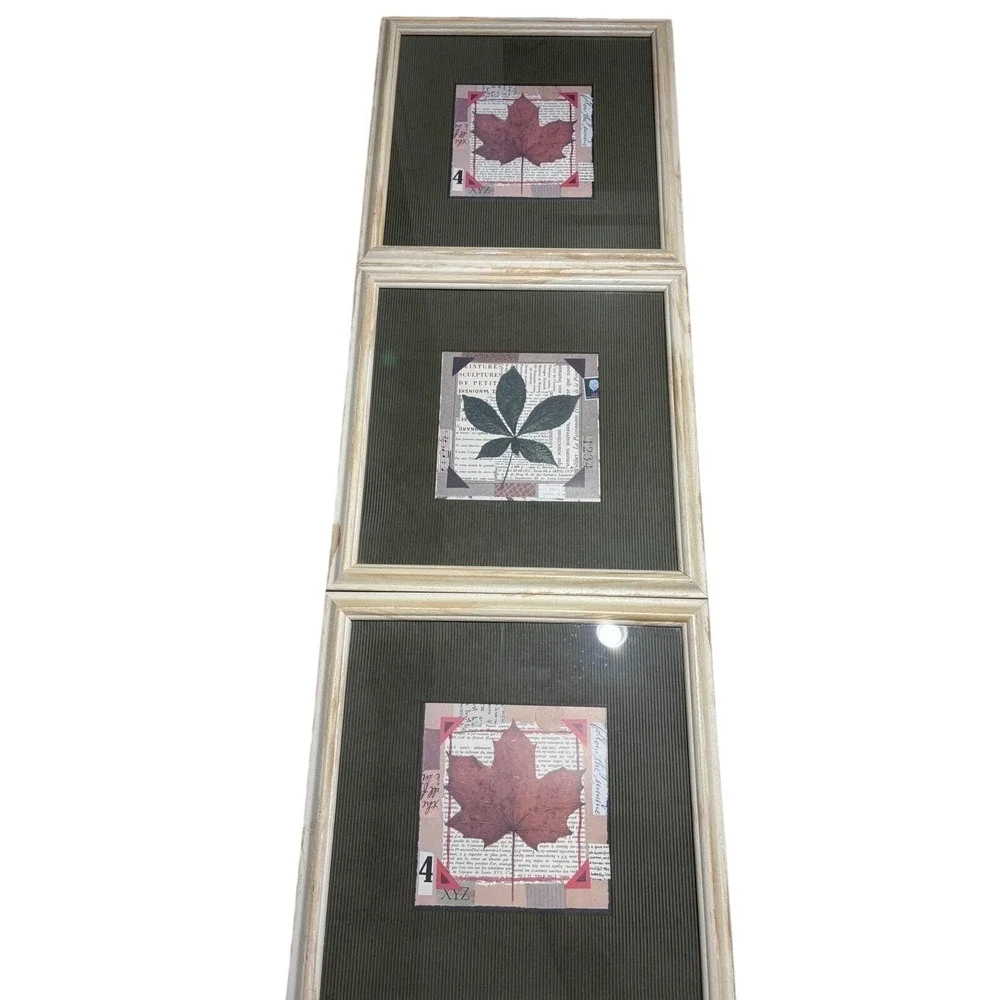 VTG Framed Leaf Wall Art Set of 3 Botanical Collage Prints Rustic‎ Decor Serene